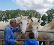 2020-07-sortie6