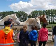 2020-07-sortie7