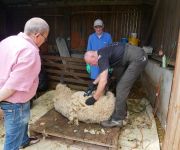 2021-06-tonte2