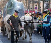 2022-foliesbearnaises26