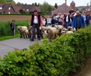 2016Transhumance22