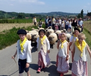 Transhumance 2018