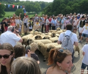 Col de Berthen - Transhumance 2018
