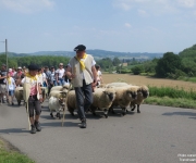 Transhumance 2018