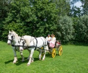 2019-06-transhumance06