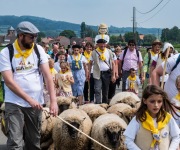 2019-06-transhumance17