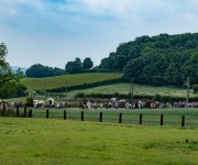 2019-06-transhumance20