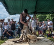 2019-06-transhumance35