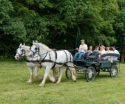 2019-06-transhumance36