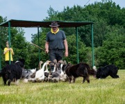 2019-06-transhumance43