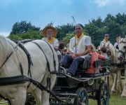2019-06-transhumance44