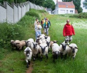 2019-06-transhumance47