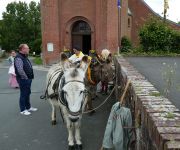 2022-05-transhumance01