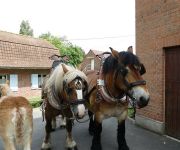 2022-05-transhumance03