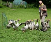 2022-05-transhumance08