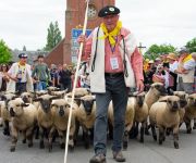 2022-05-transhumance15