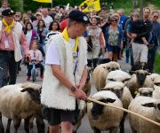 2022-05-transhumance20