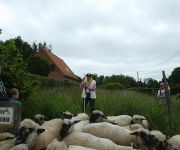 2022-05-transhumance22