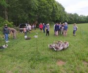2022-05-transhumance42