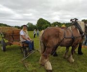 2022-05-transhumance43