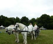 2022-05-transhumance47