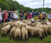 2022-05-transhumance51