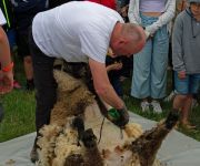 2022-05-transhumance52