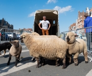 2019-05-25-Lancement-Belle-Bergere01