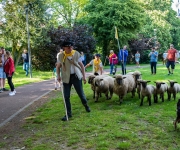 2019-05-25-Lancement-Belle-Bergere02