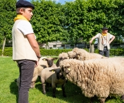 2019-05-25-Lancement-Belle-Bergere03