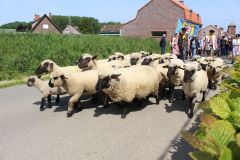 2023-05-transhumance-034