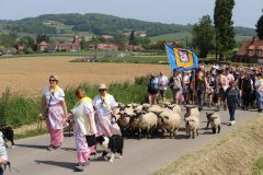 2023-05-transhumance-038