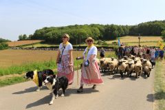 2023-05-transhumance-040