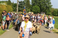 2023-05-transhumance-047