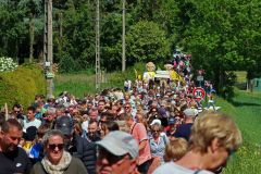 2023-05-transhumance-051