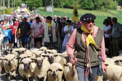 2023-05-transhumance-054