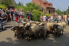 2023-05-transhumance-060