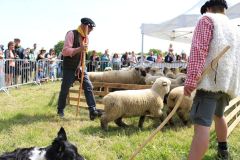 2023-05-transhumance-061