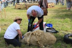 2023-05-transhumance-068