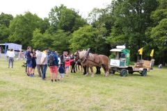 2023-05-transhumance-082