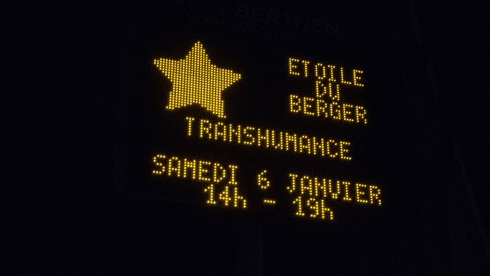 2024-01-transhumance-050