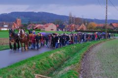 2024-01-transhumance-008