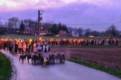 2024-01-transhumance-034