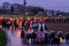 2024-01-transhumance-035
