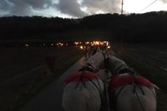 2024-01-transhumance-036