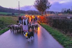 2024-01-transhumance-037