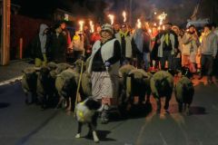 2024-01-transhumance-040