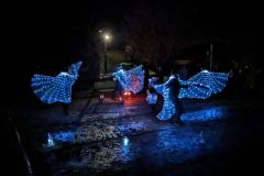 2024-01-transhumance-044