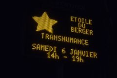 2024-01-transhumance-050