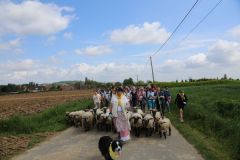 2024-05-transhumance-4031